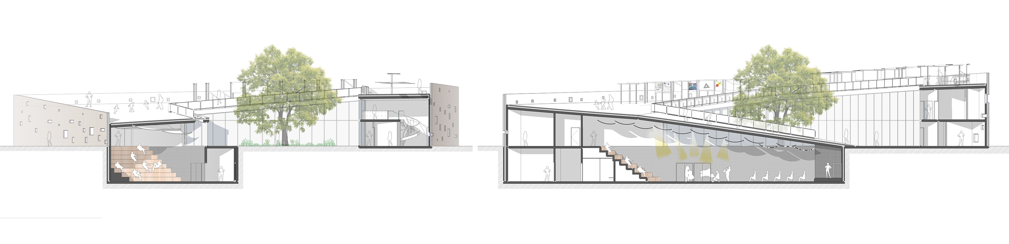 Concours BIM_coupe longitudinale